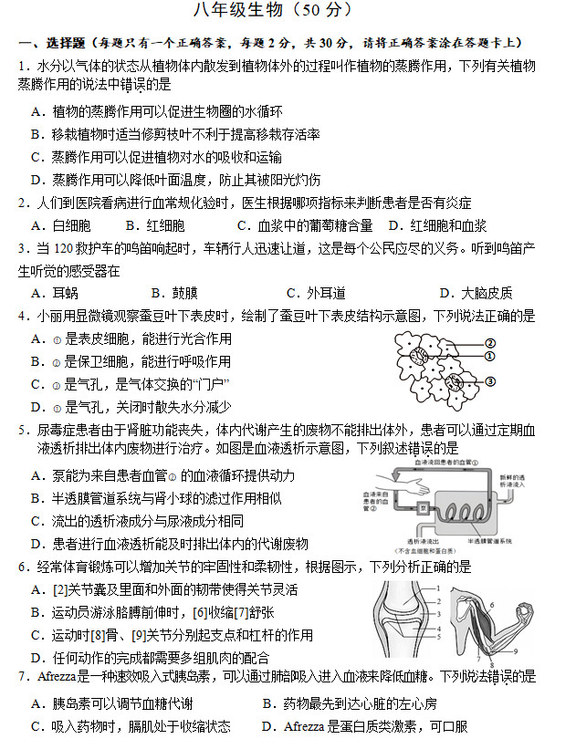 江苏省宿迁地区2024-2025学年八年级上学期期中考试生物试题(含答案)