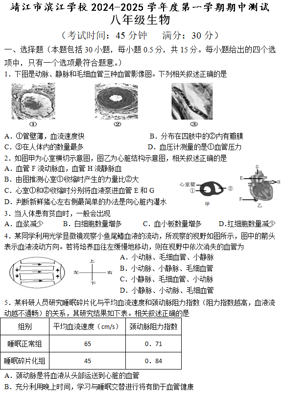 江苏省泰州市靖江市滨江学校二校联考2024-2025学年八年级上学期11月期中生物学试题(含答案)