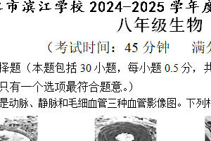 江苏省泰州市靖江市滨江学校二校联考2024-2025学年八年级上学期11月期中生物学试题（含答案）