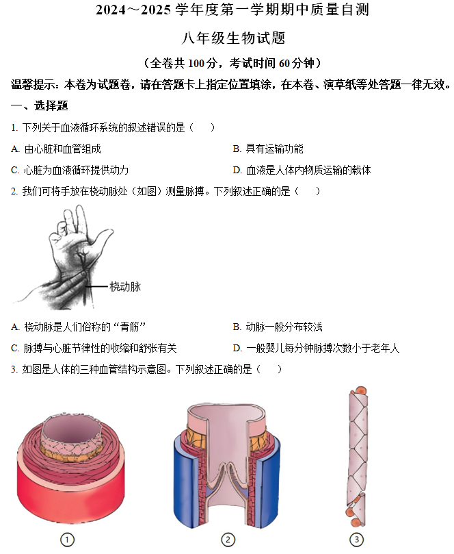 江苏省徐州市铜山区2024-2025学年八年级上学期期中生物学试题(含解析)