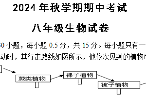江苏省盐城市射阳县实验初级中学2024-2025学年八年级上学期期中考试生物学试题（含答案）