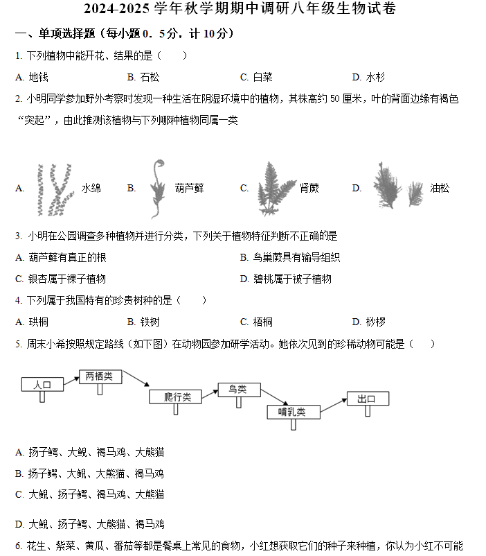 江苏省盐城市亭湖区2024-2025学年八年级上学期期中生物试题(含解析)