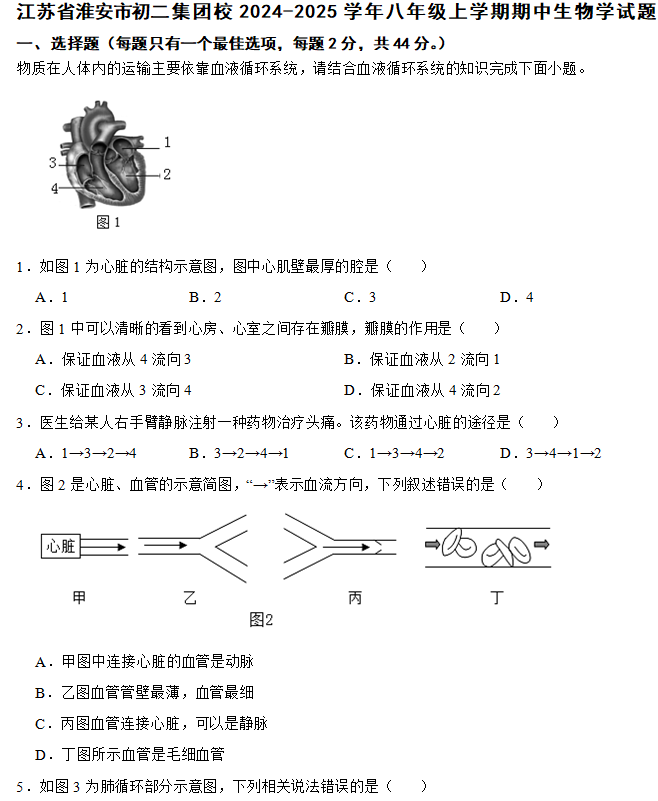 江苏省淮安市初二集团校2024-2025学年八年级上学期期中生物学试题(含答案)
