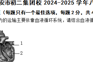 江苏省淮安市初二集团校2024-2025学年八年级上学期期中生物学试题（含答案）