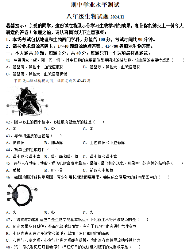 江苏省淮安市金湖县2024-2025学年八年级上学期期中生物学试题(含答案)