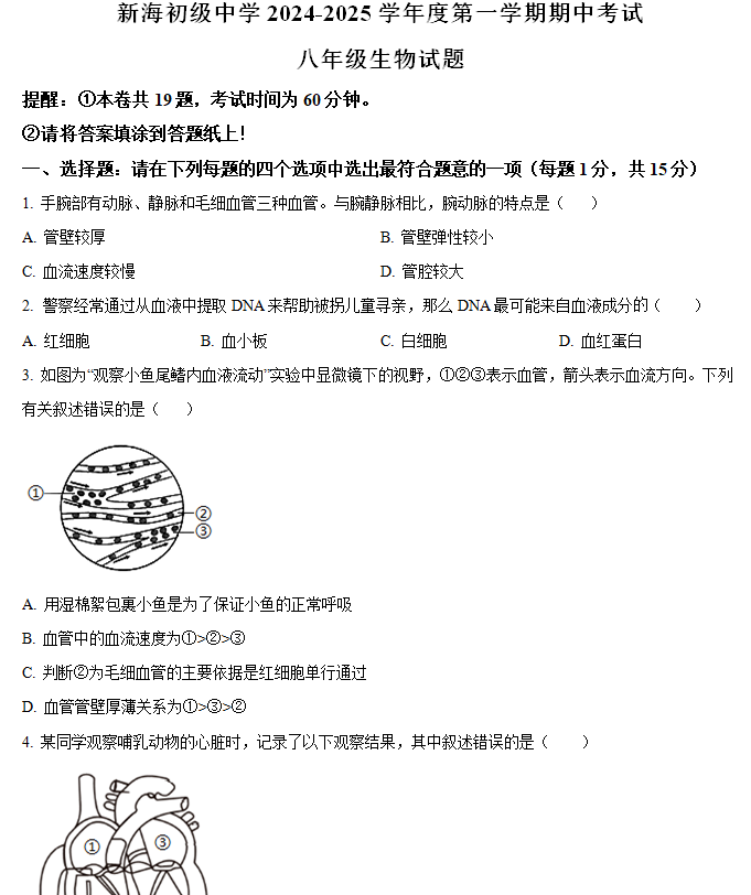 江苏省连云港市新海初级中学2024-2025学年八年级上学期期中生物学试题(含答案)