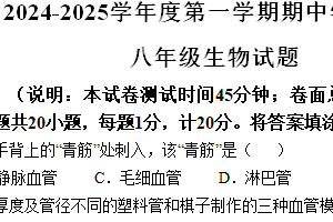江苏省徐州市丰县2024-2025学年八年级上学期期中生物学试题（含解析）