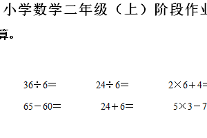 2024-2025学年江苏省泰州市兴化市苏教版二年级上册期中测试数学试卷（含解析）