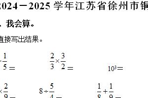 2024-2025学年江苏省徐州市铜山区苏教版六年级上册期中测试数学试卷（含解析）