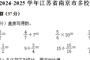 江苏省南京市多校2024-2025学年六年级上学期期中数学试卷（含解析）