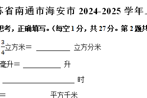 江苏省南通市海安市2024-2025学年六年级上学期期中数学试卷（含解析）