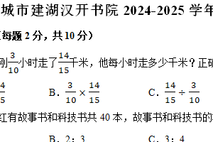 江苏省盐城市建湖县建湖汉开书院2024-2025学年六年级上学期期中数学试卷（含解析）