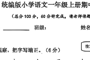 江苏省南京市东山小学2024-2025学年一年级上学期期中语文练习试卷（含答案）