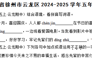 江苏省徐州市云龙区2024-2025学年五年级上学期语文期中试卷（含解析）
