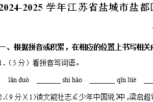 2024-2025学年江苏省盐城市盐都区二小教育集团五年级（上）期中语文试卷（含解析）