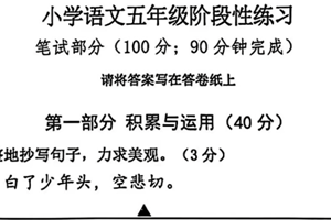 江苏省南京市江宁区2024-2025学年五年级上学期期中语文试题（含答案）
