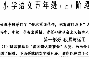 江苏省泰州市兴化市2024-2025学年五年级上学期期中阶段作业语文试卷（含答案）
