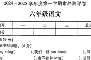江苏省徐州市丰县2024-2025学年六年级上学期11月期中语文试题（含答案）