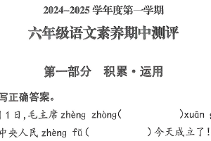 江苏省徐州市邳州市2024-2025学年六年级上学期11月期中语文试题（含答案）