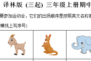2024-2025学年江苏省连云港市灌云县部分学校译林版（三起）三年级上册期中测试英语试卷（含解析）