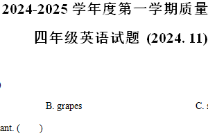 2024-2025学年江苏省徐州市沛县新城实验学校译林版（三起）四年级上册期中测试英语试卷（含解析）