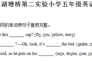2024-2025学年江苏省常州市武进区湖塘桥第二实验小学译林版（三起）五年级上册11月期中测试英语试卷（含解析）