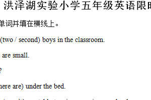 2024-2025学年江苏省淮安市洪泽区三河小学等四校联考译林版（三起）五年级上册11月期中测试英语试卷（含解析）
