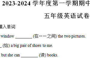 2024-2025学年江苏省徐州市邳州市多校译林版（三起）五年级上册期中测试英语试卷（含解析）