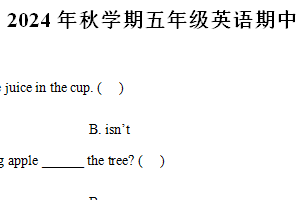 2024-2025学年江苏省盐城市大丰区译林版（三起）（2012）五年级上学期期中英语试卷（含解析）