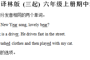 2024-2025学年江苏省常州市新北区香槟湖小学译林版（三起）六年级上册期中测试英语试卷（含解析）