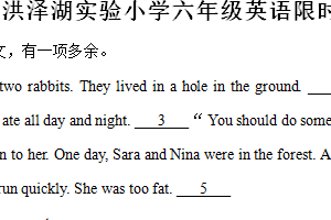 2024-2025学年江苏省淮安市洪泽区三河小学等四校联考译林版（三起）六年级上册11月期中测试英语试卷（含解析）