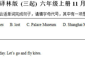 2024-2025学年江苏省徐州市丰县译林版（三起）六年级上册11月期中测试英语试卷（含解析）
