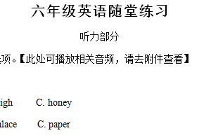2024-2025学年江苏省盐城市盐都区四联盟译林版（三起）六年级上册11月期中测试英语试卷（含解析+听力音频）