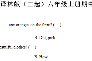 2024-2025学年江苏省扬州市江都区多校译林版（三起）六年级上册期中测试英语试卷（含解析）