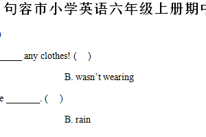 2024-2025学年江苏省镇江市句容市译林版（三起）（2012）六年级上学期期中英语试卷（含解析+听力音频）