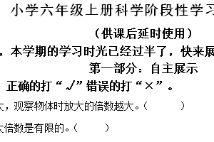 2024-2025学年江苏省徐州市沛县多校教科版六年级上册期中考试科学试卷（含解析）