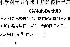 2024-2025学年江苏省徐州市泉山区教科版五年级上册期中考试科学试卷（含解析）