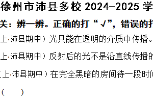 江苏省徐州市沛县多校2024-2025学年五年级上册期中考试科学试卷（含解析）