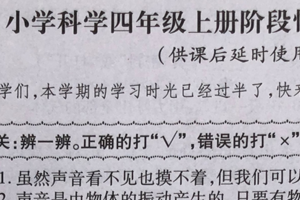 江苏省徐州市泉山区2024-2025学年四年级上学期11月期中科学试题（含答案）