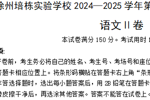 江苏省徐州市培栋实验学校2024-2025学年高一上学期期中考试语文试题（含答案）