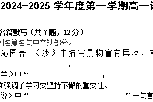 江苏省苏州市实验中学2024–2025学年高一上学期期中考试试卷（含答案）