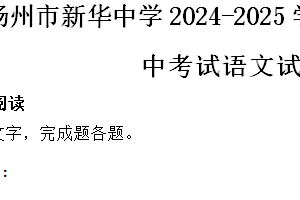 江苏省扬州市新华中学2024-2025学年高二上学期11月期中考试语文试题（含答案）