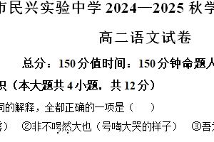 江苏省泰州市海陵区民兴实验中学2024—2025学年高二上学期期中考试语文试卷（含解析）