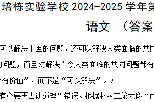 江苏省徐州市培栋实验学校2024-2025学年高二上学期期中考试语文试题（含答案）