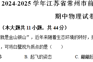 江苏省常州市前黄高级中学2024-2025学年高一上学期期中物理试卷（含解析）