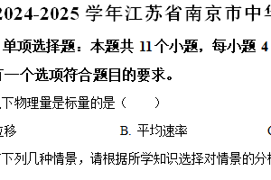江苏省南京市中华中学2024-2025学年高一上学期期中物理试卷（含解析）