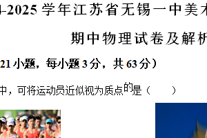 江苏省无锡市第一中学2024-2025学年高一上学期期中物理试卷（美术班）（含解析）