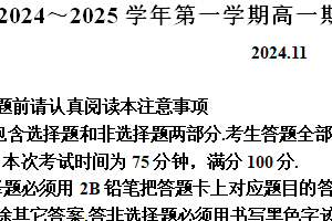 江苏省镇江市2024-2025学年高一上学期11月期中考试物理试题（含解析）