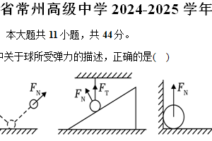 江苏省常州高级中学2024-2025学年高一（上）期中物理试卷（含答案）