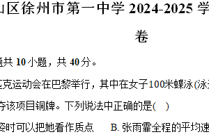 江苏徐州泉山区徐州市第一中学2024-2025学年高一（上）期中物理试卷（含答案）